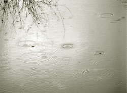 Judith Tyner "Desert Raindrops"